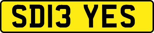SD13YES