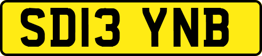 SD13YNB