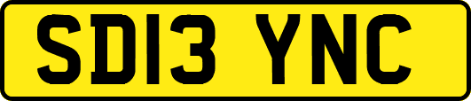 SD13YNC