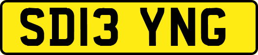 SD13YNG