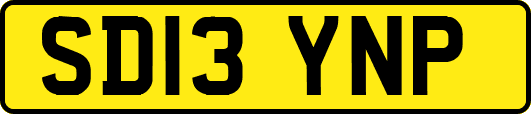 SD13YNP