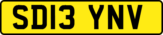 SD13YNV