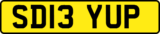 SD13YUP