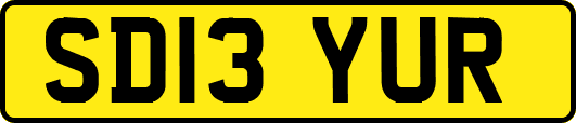 SD13YUR