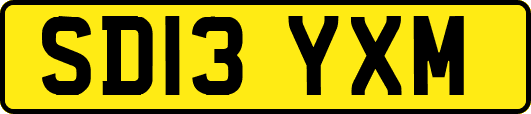 SD13YXM