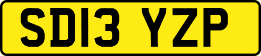 SD13YZP