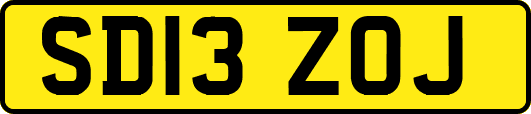 SD13ZOJ