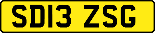 SD13ZSG