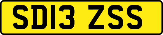 SD13ZSS