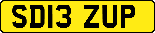 SD13ZUP