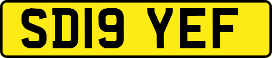 SD19YEF