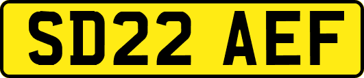 SD22AEF