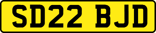 SD22BJD
