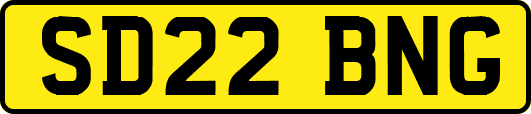 SD22BNG