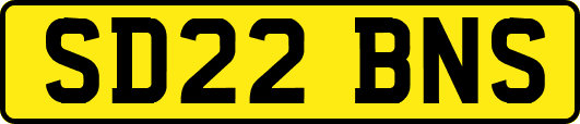 SD22BNS