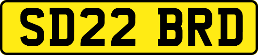 SD22BRD