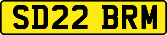SD22BRM
