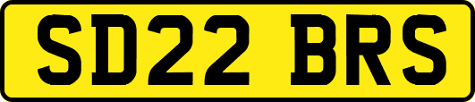 SD22BRS