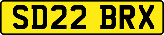 SD22BRX