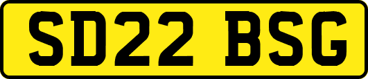 SD22BSG