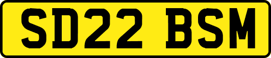SD22BSM