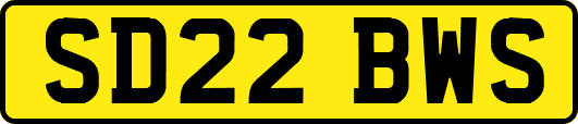 SD22BWS