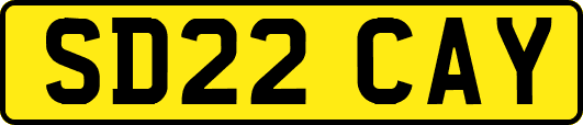 SD22CAY