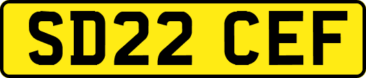 SD22CEF