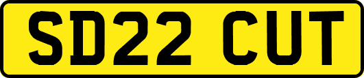 SD22CUT