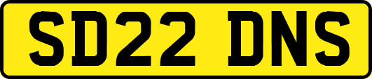 SD22DNS