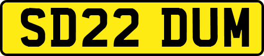 SD22DUM