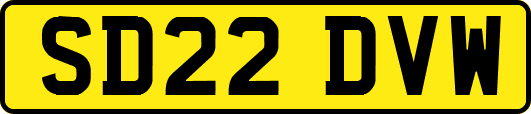 SD22DVW