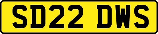 SD22DWS