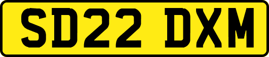 SD22DXM