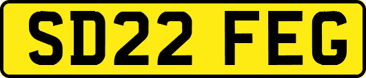 SD22FEG