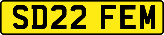 SD22FEM