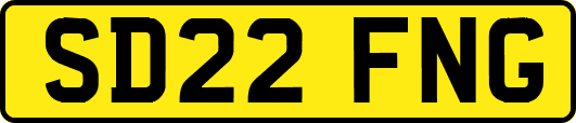 SD22FNG