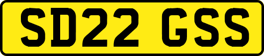 SD22GSS