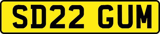SD22GUM