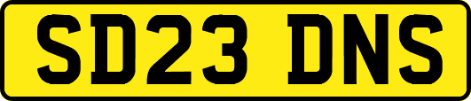 SD23DNS