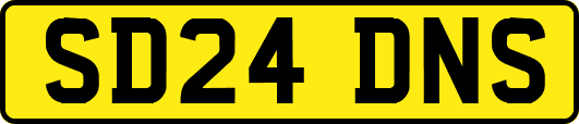 SD24DNS