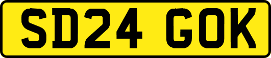 SD24GOK