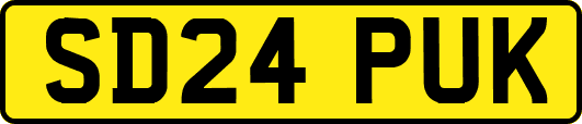 SD24PUK
