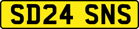 SD24SNS