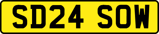 SD24SOW