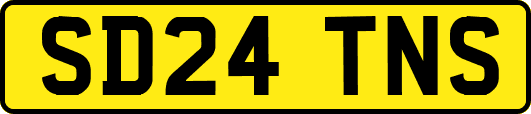 SD24TNS