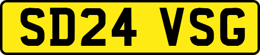 SD24VSG
