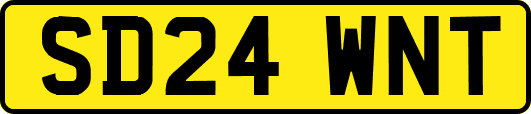 SD24WNT