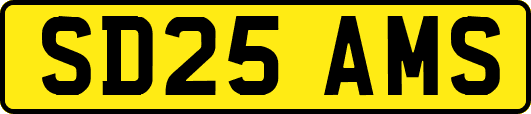 SD25AMS
