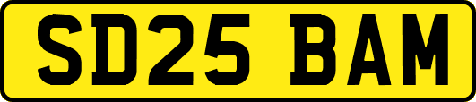SD25BAM
